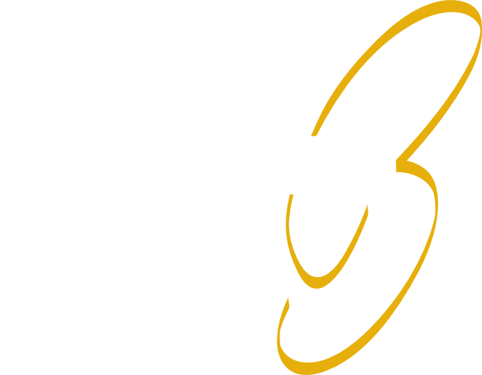 Logo Boberwt.nl